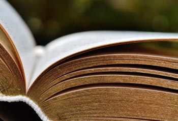 Chapter 13 Book Chapter 13 book
